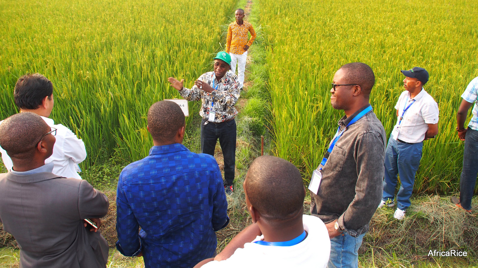ree